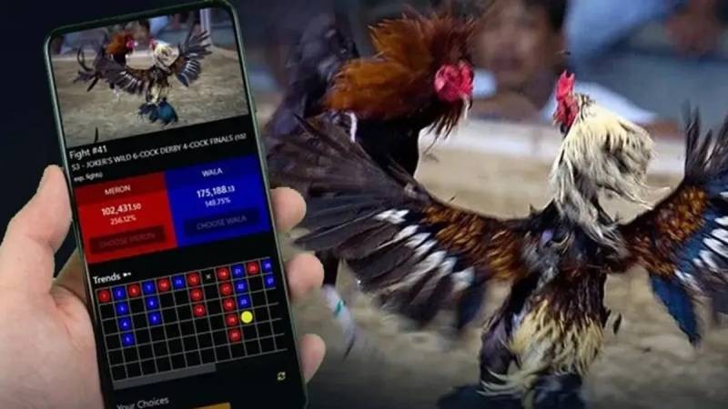 Đá gà Thomo V9Bet: Tỷ lệ thưởng cao, LIVE full HD từ Campuchia 3 Đá gà Thomo V9Bet